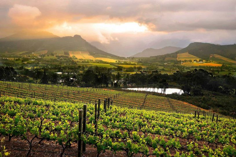 wine tours cape town franschhoek